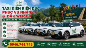 doi-xe-taxi-dien-nhan-co